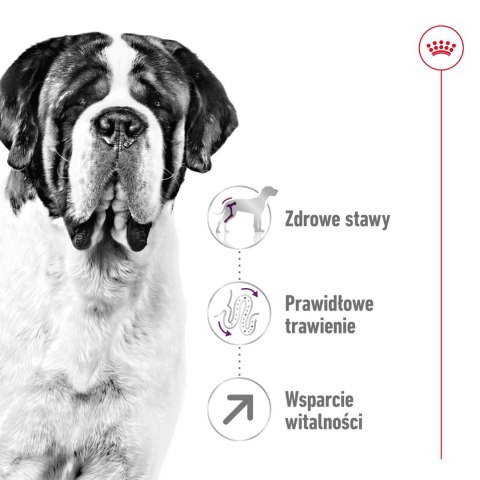 ROYAL CANIN Giant Adult 15kg Royal Canin