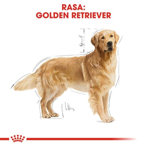 ROYAL CANIN Golden Retriever Adult 12kg Royal Canin