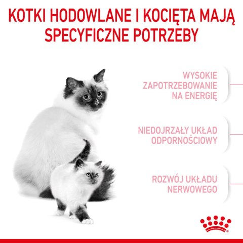 ROYAL CANIN Mother & Babycat 4kg Royal Canin