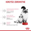 ROYAL CANIN Mother & Babycat 4kg Royal Canin