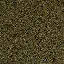 Tropical Spirulina Granulat 100ml Tropical