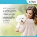 Vetoquinol Zylkene 75mg 10tab Vetoquinol