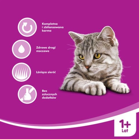 WHISKAS Karma Mokra 1+ Z Kurczakiem W Sosie 400g Whiskas