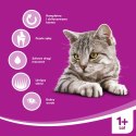 WHISKAS Karma Sucha Dla Kota 1+ Z Tuńczykiem 14kg Whiskas