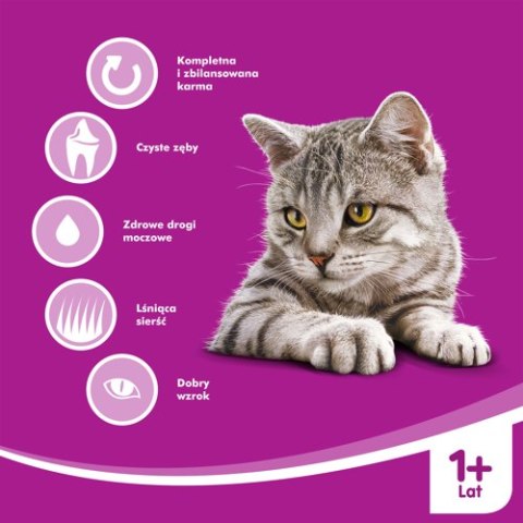WHISKAS Karma Sucha Dla Kota 1+ Z Tuńczykiem 14kg Whiskas