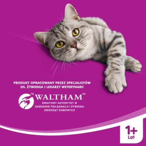 WHISKAS Karma Sucha Dla Kota 1+ Z Tuńczykiem 14kg Whiskas