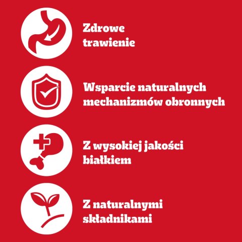 Pedigree Mokra Karma Dla Dorosłych Psów Z Wołowiną W Galarecie Puszka 400g Pedigree