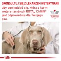 ROYAL CANIN Hypoallergenic 14kg Royal Canin weterynaria