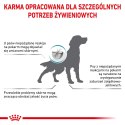 ROYAL CANIN Hypoallergenic 14kg Royal Canin weterynaria