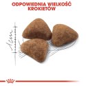 ROYAL CANIN Indoor 27 10kg Royal Canin