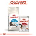 ROYAL CANIN Indoor Long Hair 10kg Royal Canin