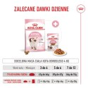 ROYAL CANIN Kitten 400g Royal Canin