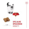 ROYAL CANIN Kitten 4kg Royal Canin