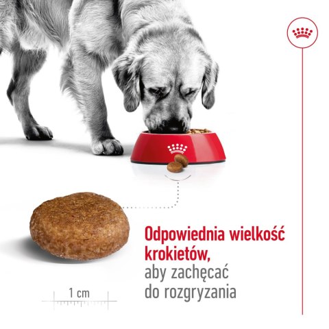 ROYAL CANIN Maxi Adult 5+ 15kg Royal Canin