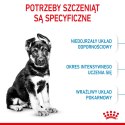 ROYAL CANIN Maxi Puppy 4kg Royal Canin