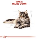 ROYAL CANIN Maine Coon Adult 4kg Royal Canin
