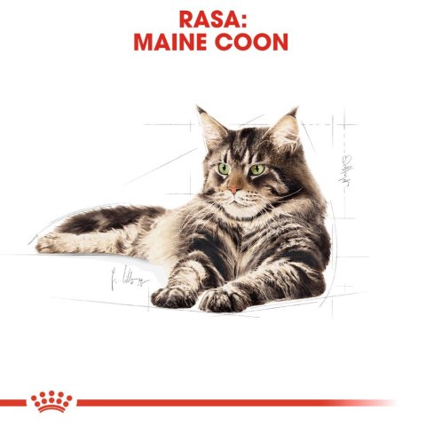 ROYAL CANIN Maine Coon Adult 4kg Royal Canin