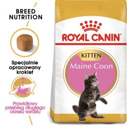 ROYAL CANIN Maine Coon Kitten 10kg Royal Canin