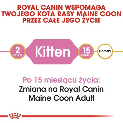 ROYAL CANIN Maine Coon Kitten 10kg Royal Canin