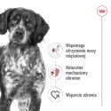 ROYAL CANIN Medium Adult 15kg Royal Canin