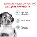 ROYAL CANIN Medium Puppy 15kg Royal Canin