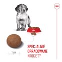 ROYAL CANIN Medium Puppy 15kg Royal Canin