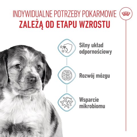 ROYAL CANIN Medium Puppy 4kg Royal Canin