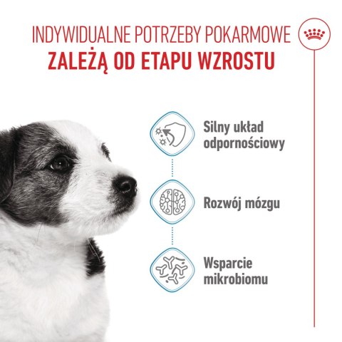 ROYAL CANIN Mini Puppy 4kg Royal Canin