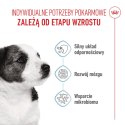 ROYAL CANIN Mini Puppy 8kg Royal Canin