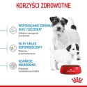 ROYAL CANIN Mini Starter 1kg Royal Canin