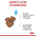 ROYAL CANIN Mini Starter 1kg Royal Canin