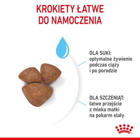ROYAL CANIN Mini Starter 1kg Royal Canin