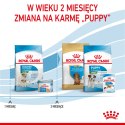 ROYAL CANIN Mini Starter 1kg Royal Canin