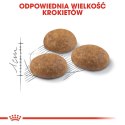 ROYAL CANIN Outdoor 4kg Royal Canin