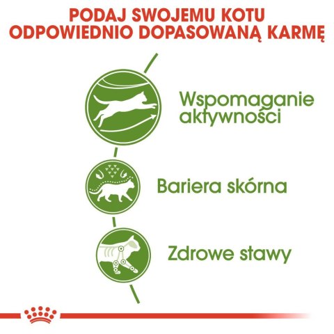 ROYAL CANIN Outdoor 4kg Royal Canin