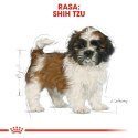 ROYAL CANIN Shih Tzu Puppy 1,5kg Royal Canin