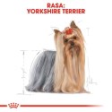 ROYAL CANIN Yorkshire Terrier Adult 1,5kg Royal Canin