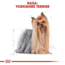 ROYAL CANIN Yorkshire Terrier Adult 1,5kg Royal Canin