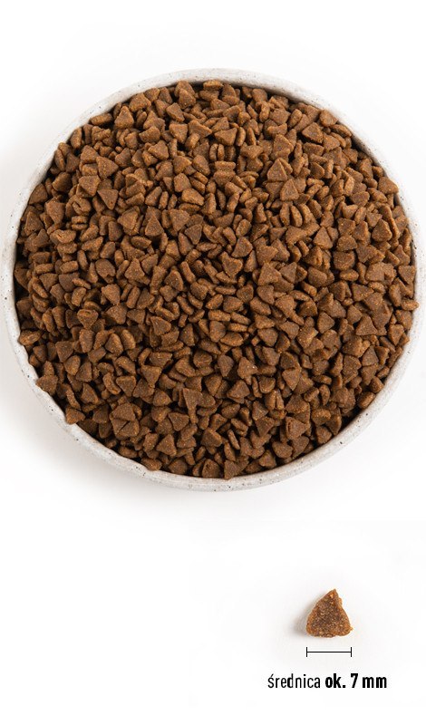 Acana First Feast Cat 340g Acana