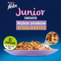 Felix Fantastic Junior W Galaretce 12x85g Felix