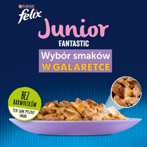Felix Fantastic Junior W Galaretce 12x85g Felix