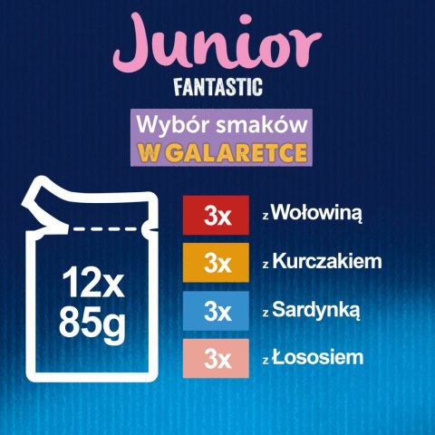 Felix Fantastic Junior W Galaretce 12x85g Felix