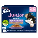 Felix Fantastic Junior W Galaretce 12x85g Felix
