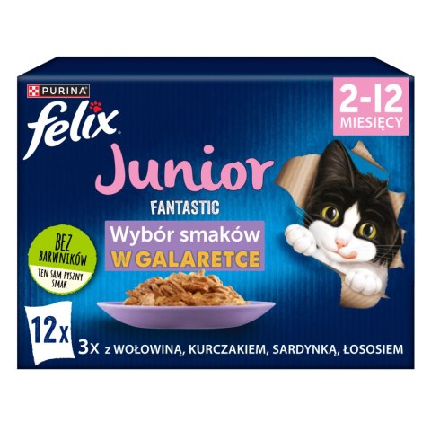 Felix Fantastic Junior W Galaretce 12x85g Felix