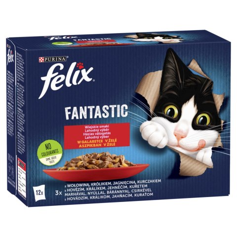 Felix Fantastic Wiejskie Smaki W Galaretce 12x85g Felix