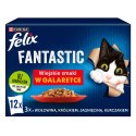Felix Fantastic Wiejskie Smaki W Galaretce 12x85g Felix