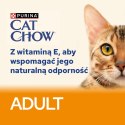 Purina Cat Chow Adult Łosoś I Zielona Fasolka 85g Purina Cat Chow