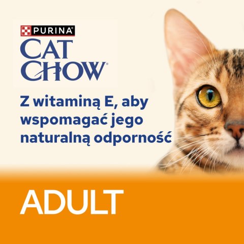 Purina Cat Chow Adult Łosoś I Zielona Fasolka 85g Purina Cat Chow