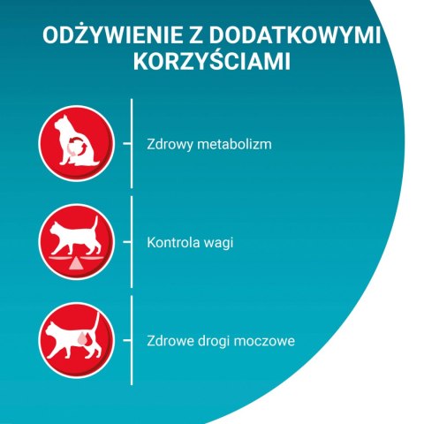 Purina One Cat Sterilcat Karma Z Wołowiną Dla Kota 800g PURINA ONE