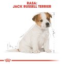 ROYAL CANIN Jack Russell Terrier Puppy 3kg Royal Canin